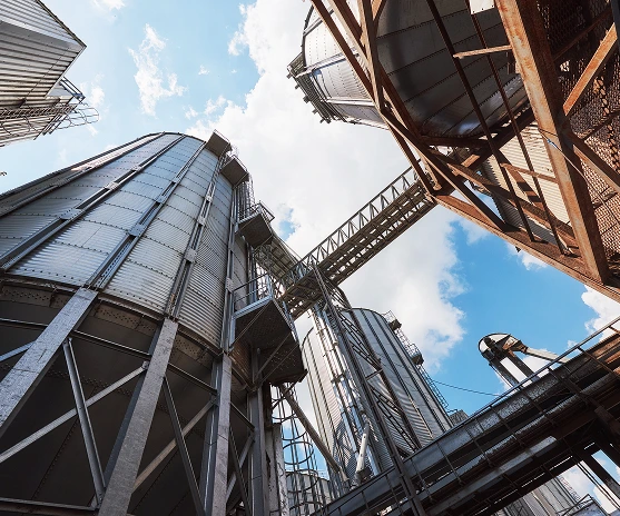 industryexpert